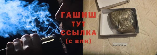 PSILOCYBIN Богданович