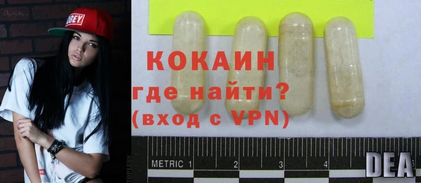 индика Богородицк