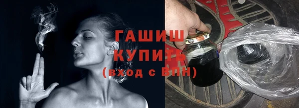 индика Богородицк