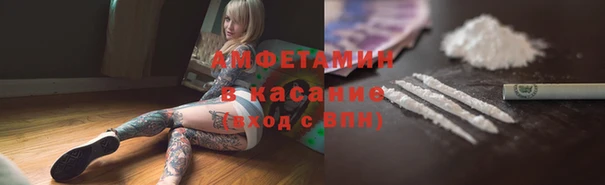 индика Богородицк