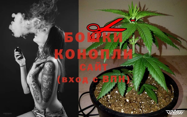 PSILOCYBIN Богданович