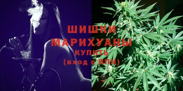 PSILOCYBIN Богданович