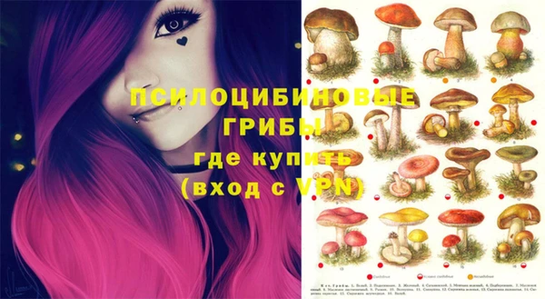 PSILOCYBIN Богданович
