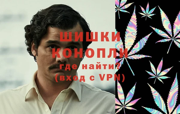 PSILOCYBIN Богданович