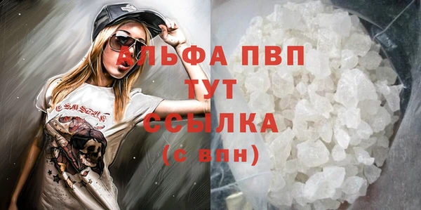индика Богородицк