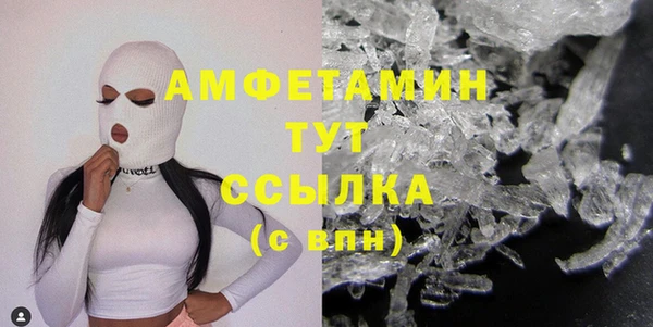 индика Богородицк