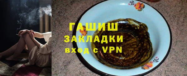 индика Богородицк