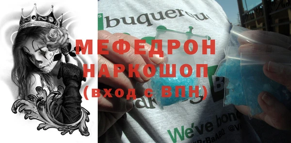 индика Богородицк
