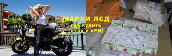индика Богородицк