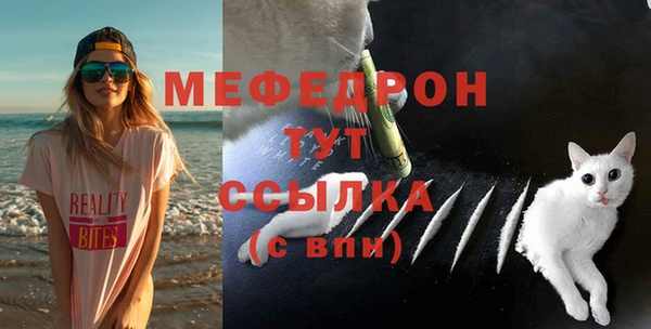PSILOCYBIN Богданович