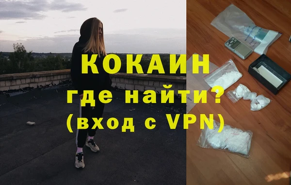 индика Богородицк