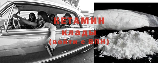 индика Богородицк