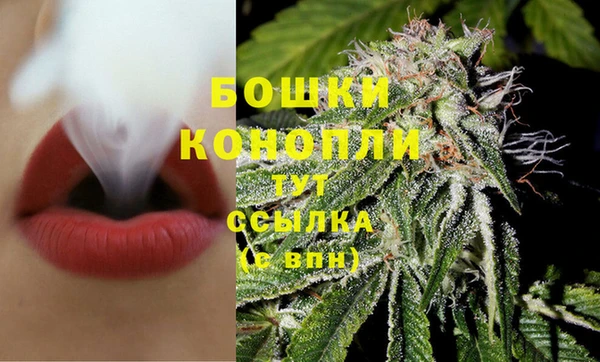индика Богородицк