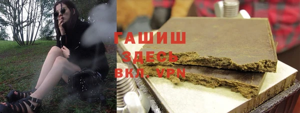 индика Богородицк
