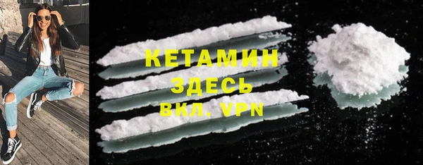 индика Богородицк